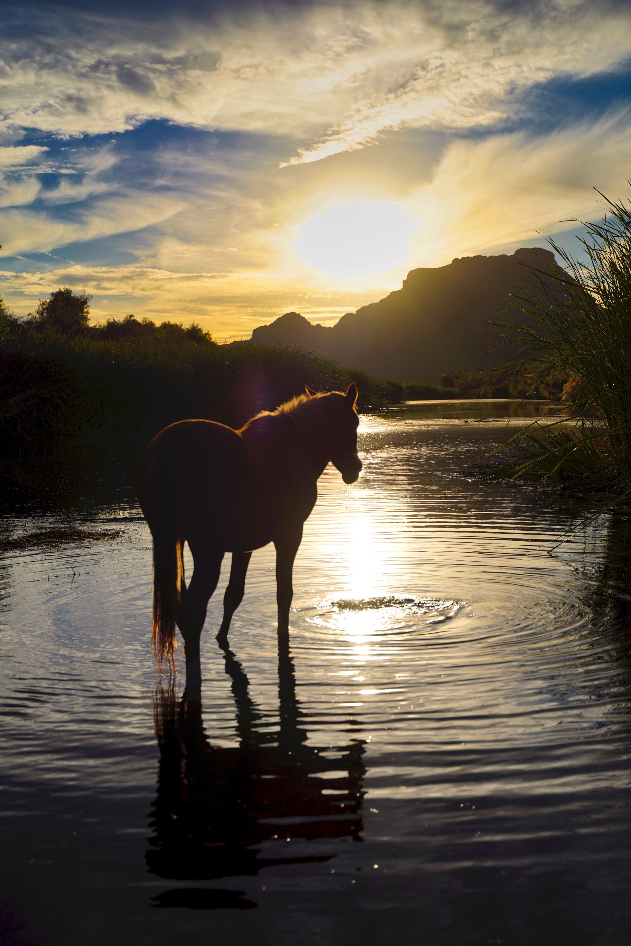 On the Golden Pond