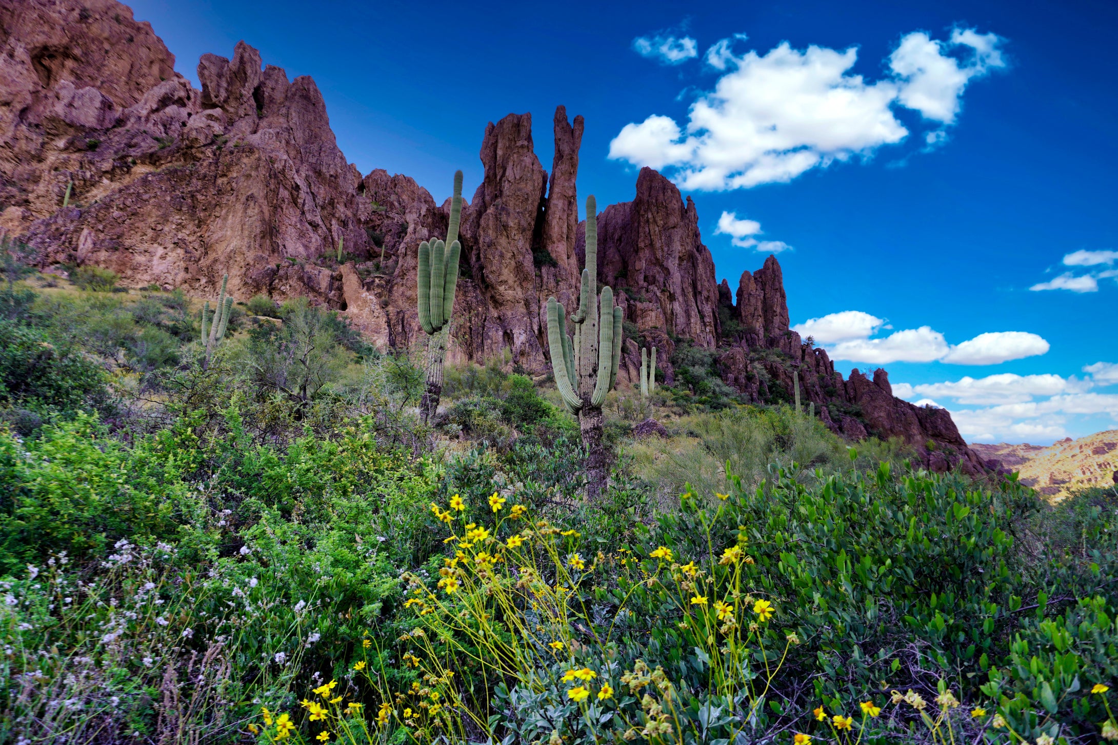 Hike Through Peralta Canyon