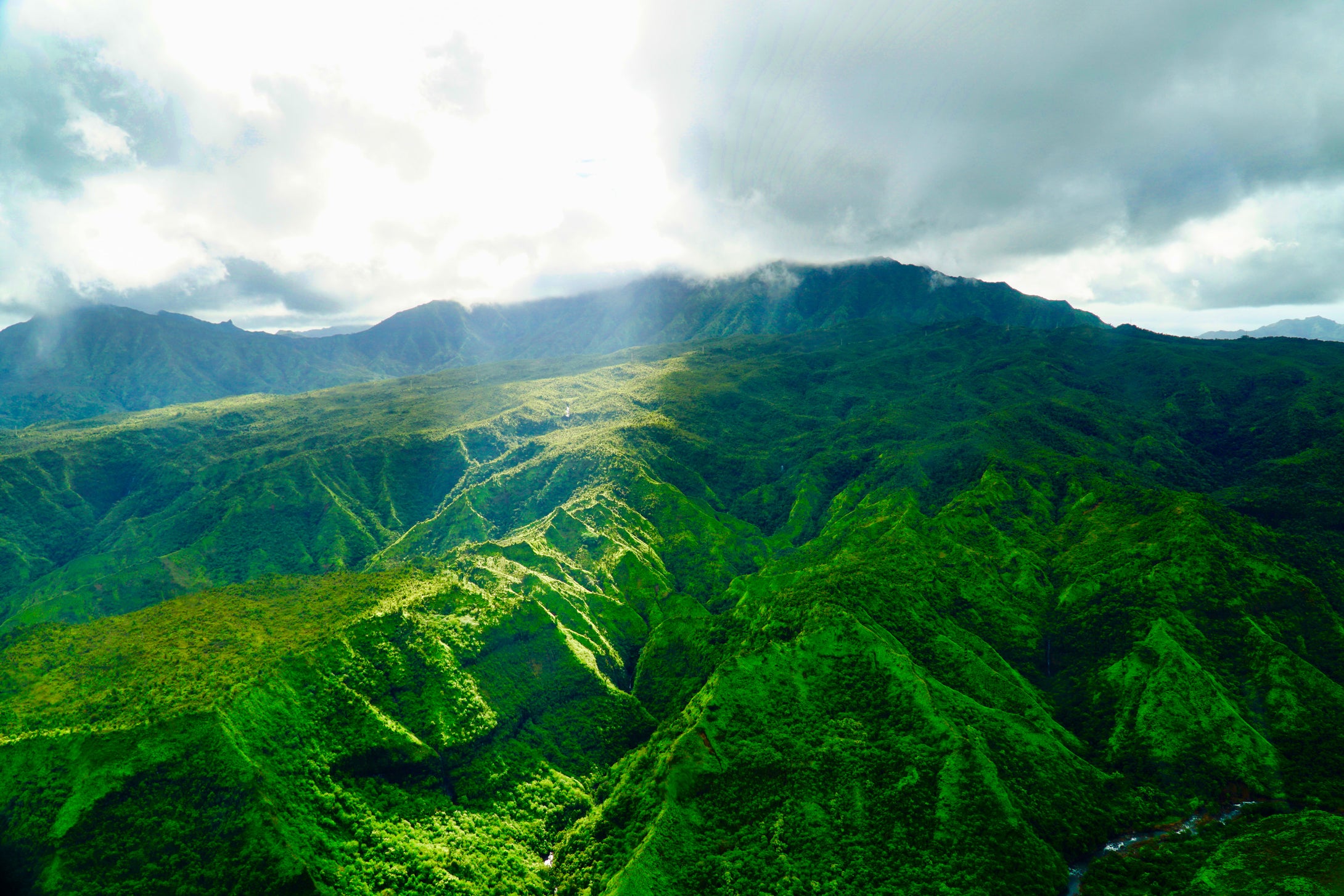 Aloha Sunray